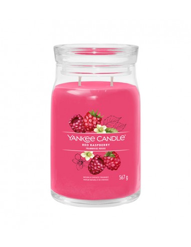 Yankee Candle Red Raspberry - signature candle large