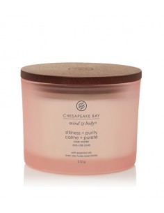 Chesapeake Bay Stillness + Purity - kvapioji žvakė su 3...