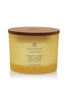 Chesapeake Bay Strength + Energy - kvapioji žvakė su 3...