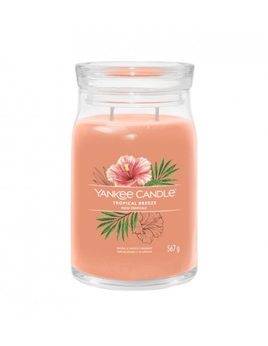 Yankee Candle Tropical Breeze - firminė didelė žvakė