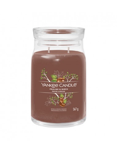 Yankee Candle Praline & Birch - signature candle large