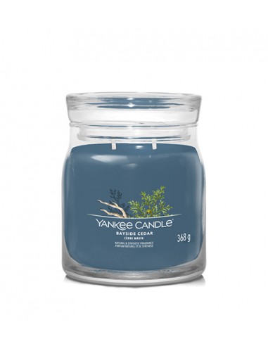 Yankee Candle Bayside Cedar - vidutinio dydžio žvakė