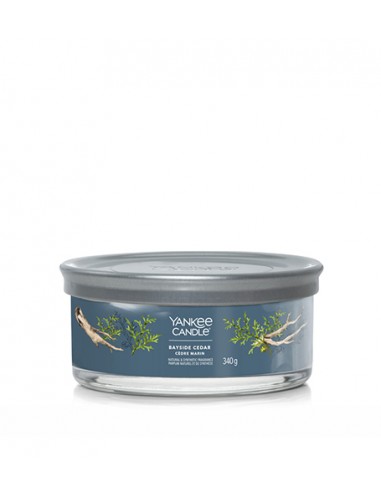 Yankee Candle Bayside Cedar - firminis indelis su 5 dagtimis